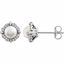 651954:60010:P 14kt White Freshwater Cultured Pearl & 1/10 CTW Diamond Earrings
