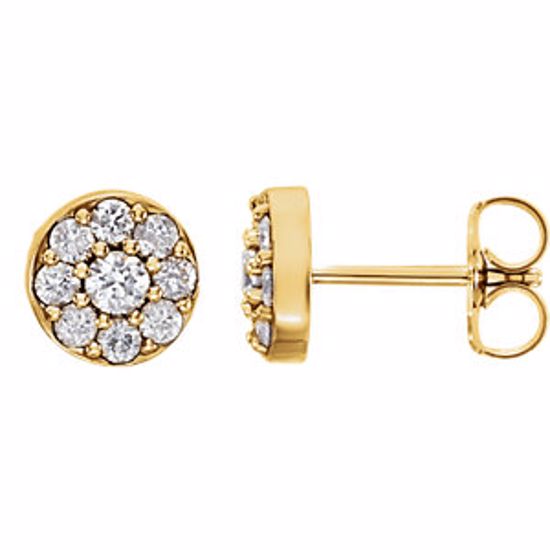 86288:6001:P 14kt Yellow 1/2 CTW Diamond Earrings