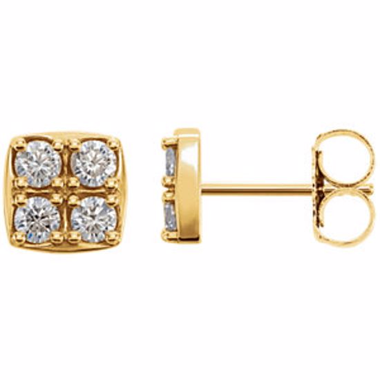 86286:6001:P 14kt Yellow 1/2 CTW Diamond Earrings