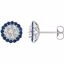 651948:60002:P 14kt White Blue Sapphire & 5/8 CTW Diamond Earrings