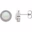 86282:6003:P Platinum Opal Earrings