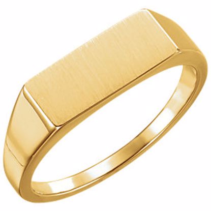 9824:102:P 14kt Yellow Men's Rectangle Signet Ring