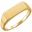 9824:102:P 14kt Yellow Men's Rectangle Signet Ring