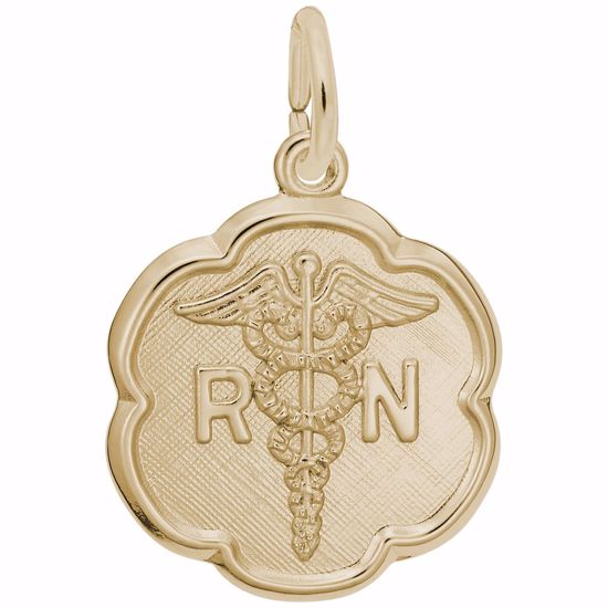 Picture of Registered Nurse Charm Pendant - 14K Gold