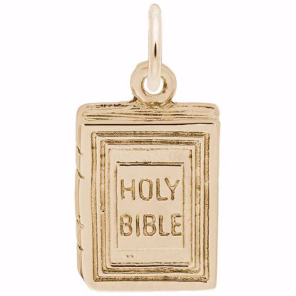 Picture of Bible Charm Pendant - 14K Gold