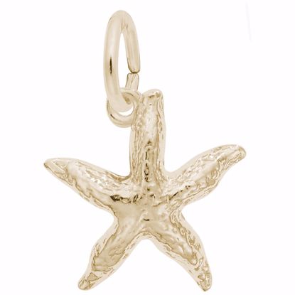 Picture of Starfish Charm Pendant - 14K Gold