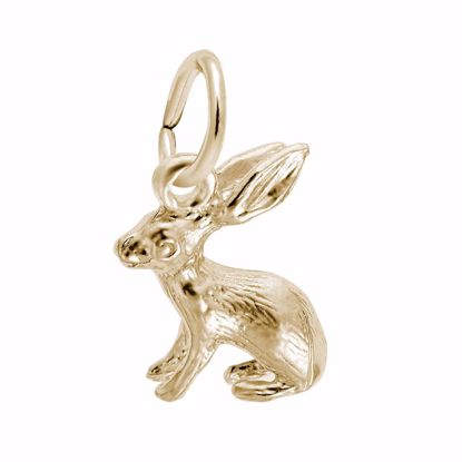Picture of Bunny Charm Pendant - 14K Gold
