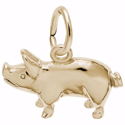 Picture of Pig Charm Pendant - 14K Gold