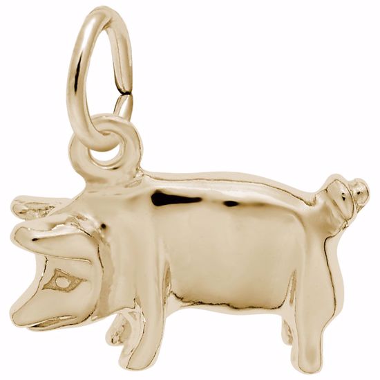 Picture of Pig Charm Pendant - 14K Gold