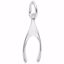 Picture of Wishbone Charm Pendant - Sterling Silver