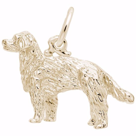 Picture of Golden Retriever Charm Pendant - 14K Gold