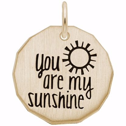 Picture of You Are My Sunshine Charm Pendant - 14K Gold
