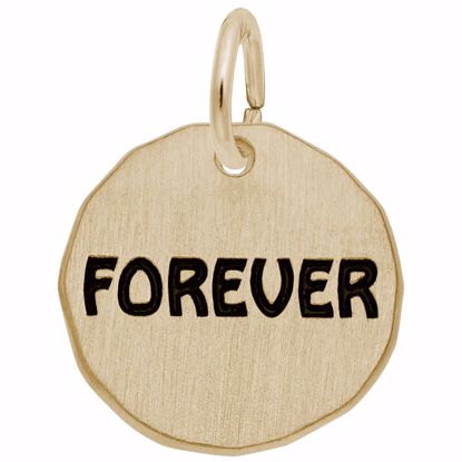 Picture of Forever Charm Tag