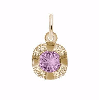 Picture of Petite Birthstone - Feb Charm Pendant - 14K Gold