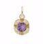 Picture of Petite Birthstone - June Charm Pendant - 14K Gold