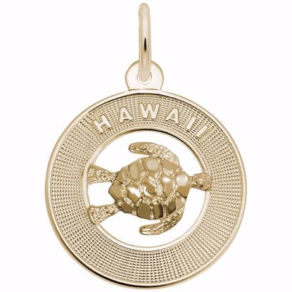 Picture of Hawaii W/Turtle Charm Pendant - 14K Gold