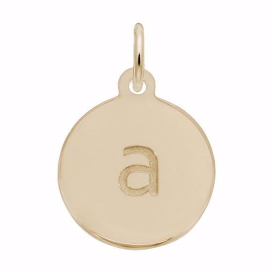 Picture of Petite Initial Disc - Lower Case Block A Charm Pendant - 14K Gold