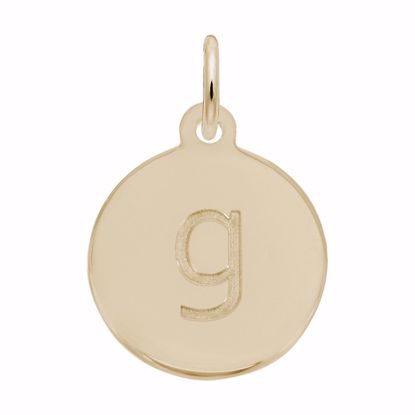 Picture of Petite Initial Disc - Lower Case Block G Charm Pendant - 14K Gold