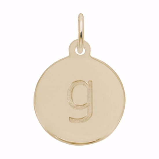 Picture of Petite Initial Disc - Lower Case Block G Charm Pendant - 14K Gold