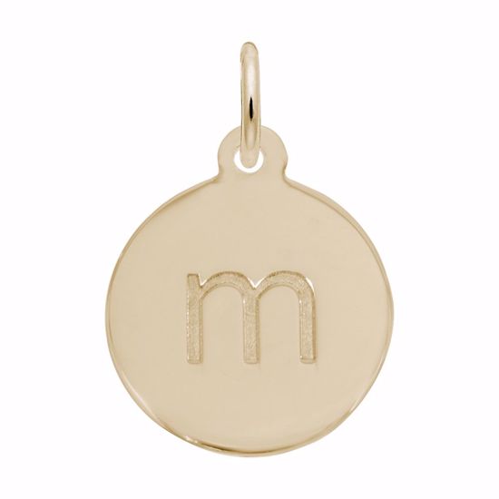 Picture of Petite Initial Disc - Lower Case Block M Charm Pendant - 14K Gold