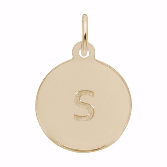 Picture of Petite Initial Disc - Lower Case Block S Charm Pendant - 14K Gold