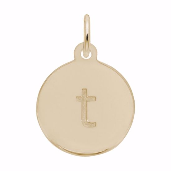 Picture of Petite Initial Disc - Lower Case Block T Charm Pendant - 14K Gold