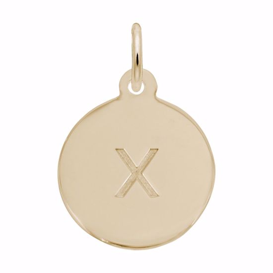 Picture of Petite Initial Disc - Lower Case Block X Charm Pendant - 14K Gold