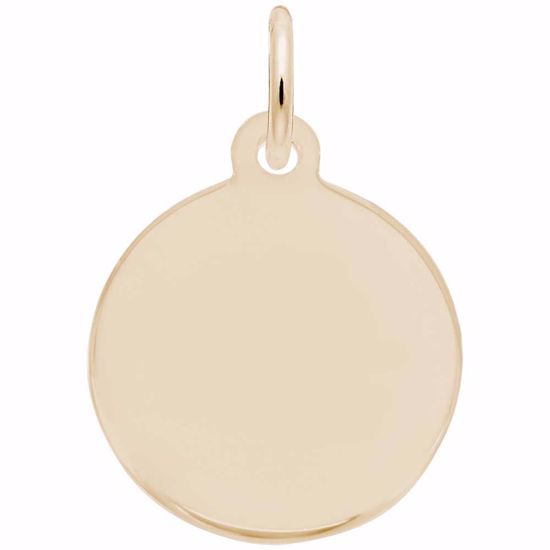 Picture of Petite Initial Disc - Script D Charm Pendant - 14K Gold