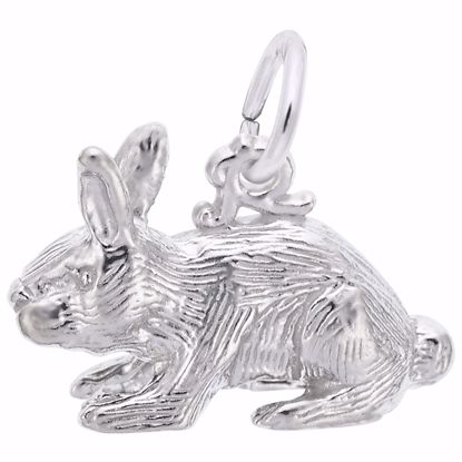 Picture of Rabbit Charm Pendant - Sterling Silver