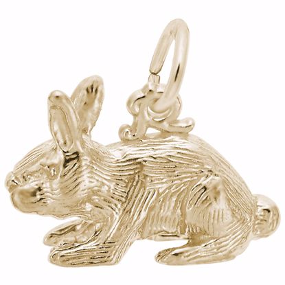 Picture of Rabbit Charm Pendant - 14K Gold
