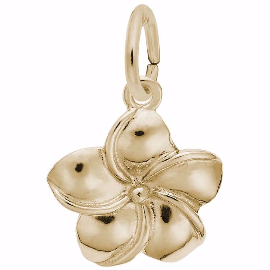 Picture of Plumeria Flower Charm Pendant - 14K Gold