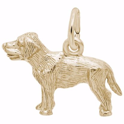 Picture of Labrador Charm Pendant - 14K Gold