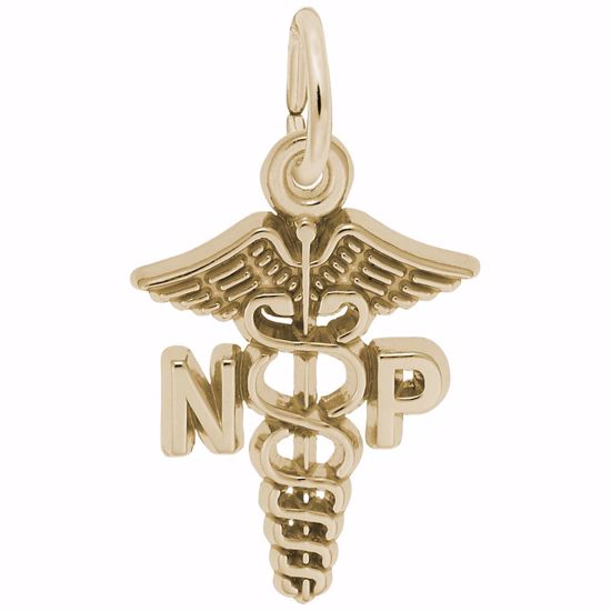 Picture of Nurse Practitioner Charm Pendant - 14K Gold