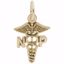 Picture of Nurse Practitioner Charm Pendant - 14K Gold