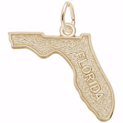 Picture of Florida Charm Pendant - 14K Gold