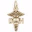 Picture of Dental Hygienist Charm Pendant - 14K Gold