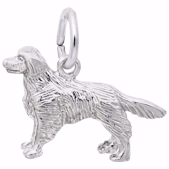 Picture of Golden Retriever Charm Pendant - Sterling Silver