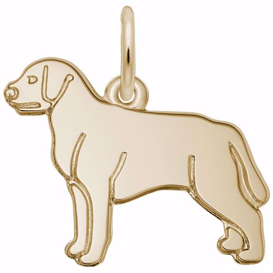 Picture of Labrador Retriever Charm Pendant - 14K Gold