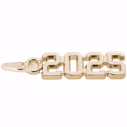 Picture of '2025' Charm Pendant - 14K Gold