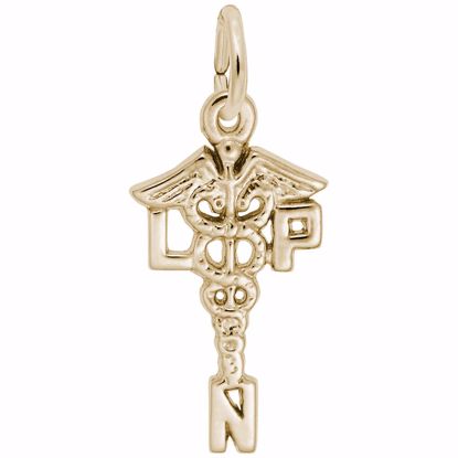 Picture of Licensed Practical Nurse Charm Pendant - 14K Gold