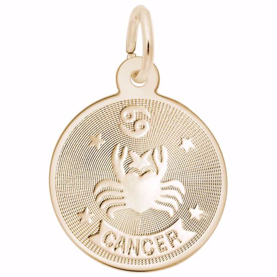 Picture of Cancer Charm Pendant - 14K Gold