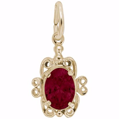 Picture of 01 Birthstone January Charm Pendant - 14K Gold