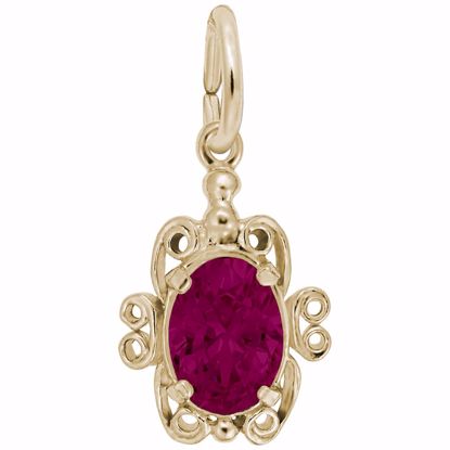 Picture of 07 Birthstone July Charm Pendant - 14K Gold