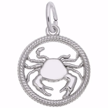 Picture of Cancer Charm Pendant - Sterling Silver