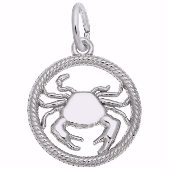 Picture of Cancer Charm Pendant - Sterling Silver