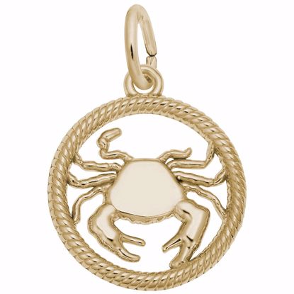 Picture of Cancer Charm Pendant - 14K Gold