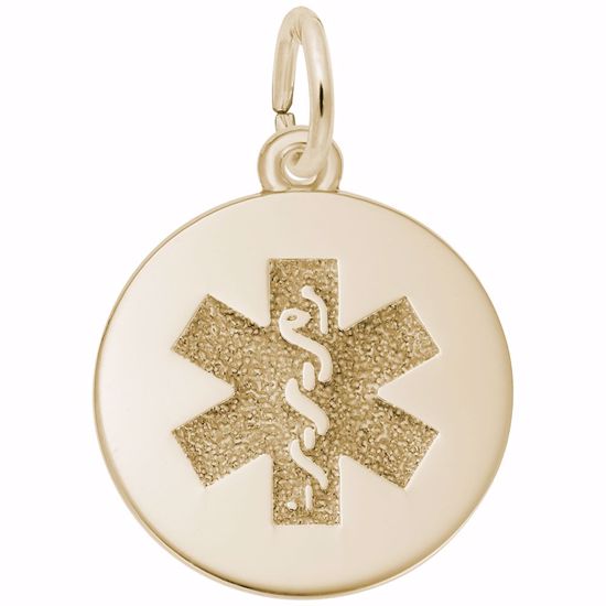 Picture of Medical Symbol-Red Paint Charm Pendant - 14K Gold