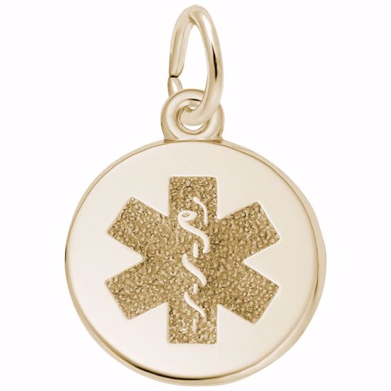 Picture of Medical Symbol-Red Paint Charm Pendant - 14K Gold