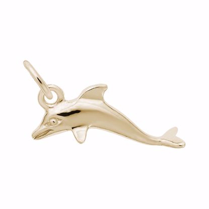 Picture of Dolphin Charm Pendant - 14K Gold