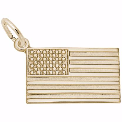 Picture of Usa Flag Charm Pendant - 14K Gold